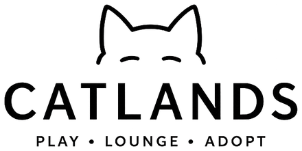 CatLands Lounge